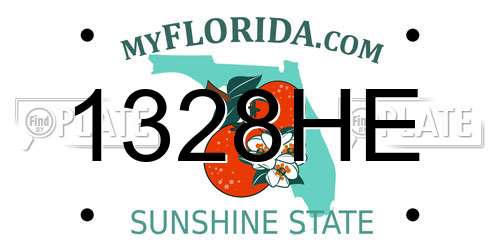1328HE Florida License Plate