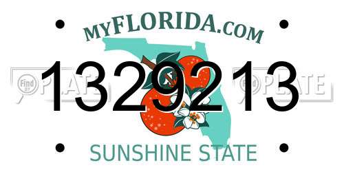 1329213 Florida License Plate