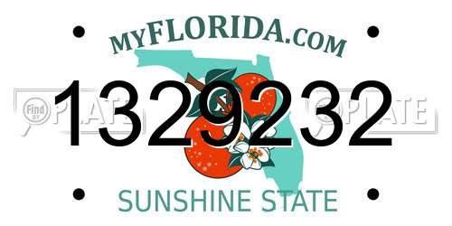 1329232 Florida License Plate