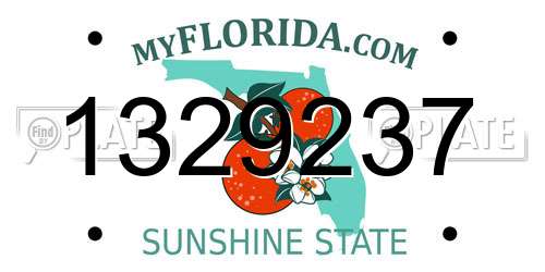 1329237 Florida License Plate
