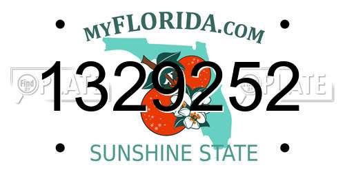 1329252 Florida License Plate