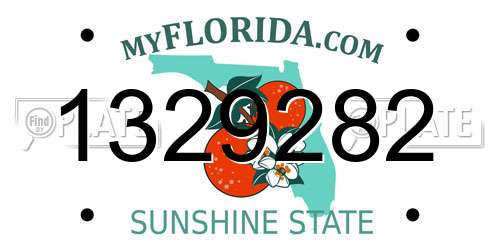 1329282 Florida License Plate