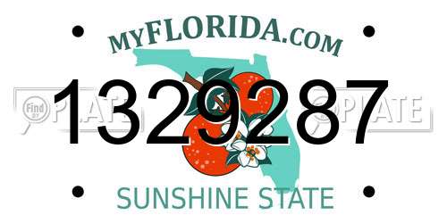 1329287 Florida License Plate