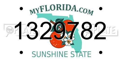 1329782 Florida License Plate