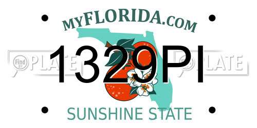 1329PI Florida License Plate