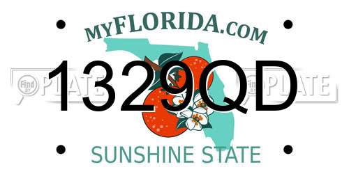 1329QD Florida License Plate