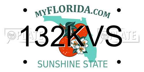 132KVS Florida License Plate