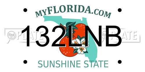 132LNB Florida License Plate
