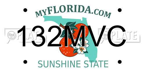 132MVC Florida License Plate