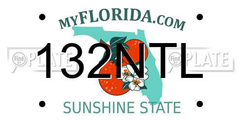 132NTL Florida License Plate