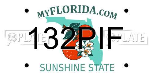 132PIF Florida License Plate
