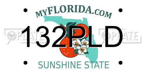 132PLD Florida License Plate