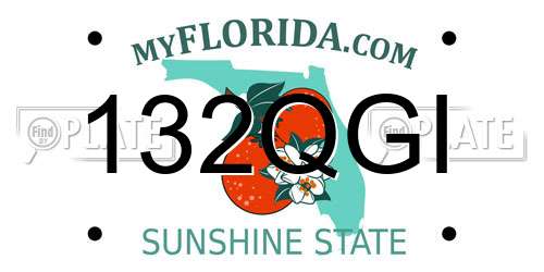 132QGI Florida License Plate