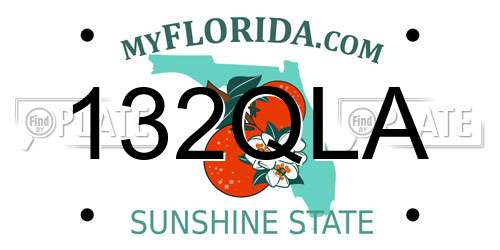 132QLA Florida License Plate