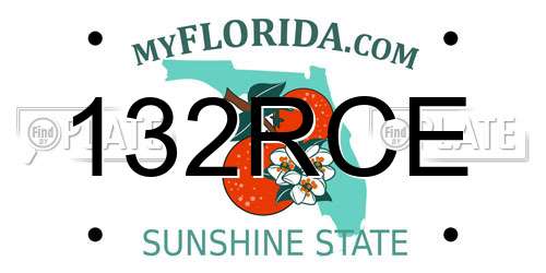 132RCE Florida License Plate