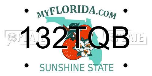 132TQB Florida License Plate