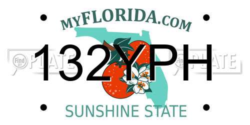 132YPH Florida License Plate