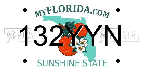 132YYN Florida License Plate