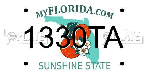 1330TA Florida License Plate