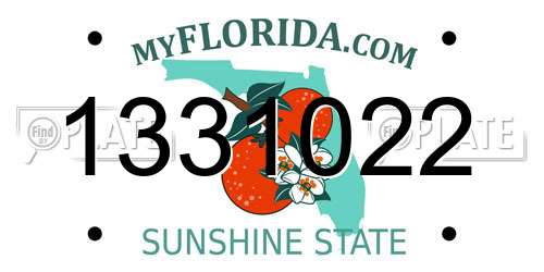 1331022 Florida License Plate