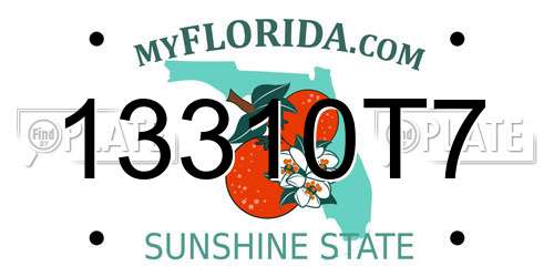 13310T7 Florida License Plate