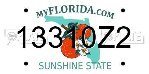 13310Z2 Florida License Plate