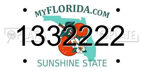 1332222 Florida License Plate