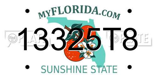 13325T8 Florida License Plate