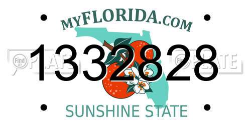 1332828 Florida License Plate