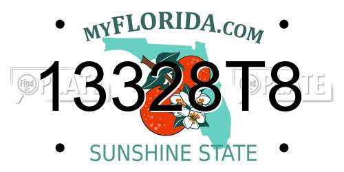 13328T8 Florida License Plate