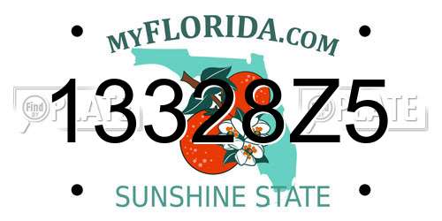 13328Z5 Florida License Plate