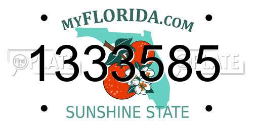 1333585 Florida License Plate