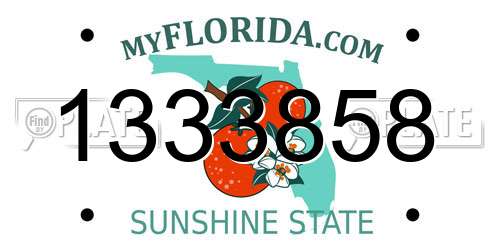 1333858 Florida License Plate