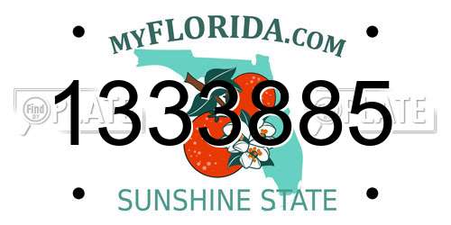 1333885 Florida License Plate