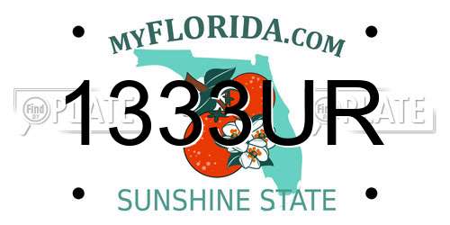1333UR Florida License Plate