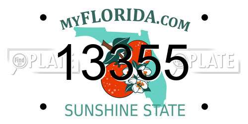 13355 Florida License Plate