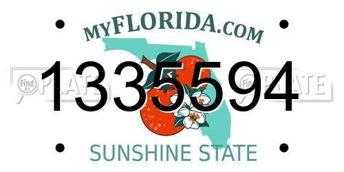 1335594 Florida License Plate