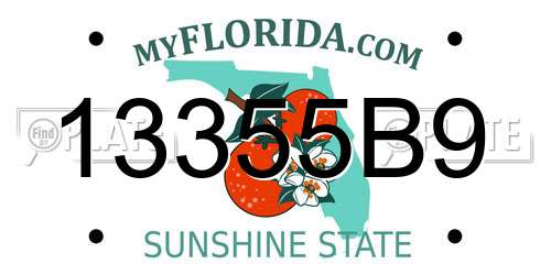 13355B9 Florida License Plate