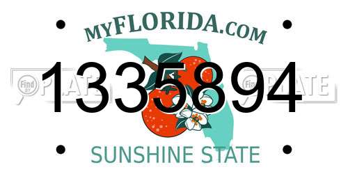 1335894 Florida License Plate
