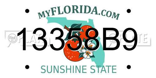 13358B9 Florida License Plate