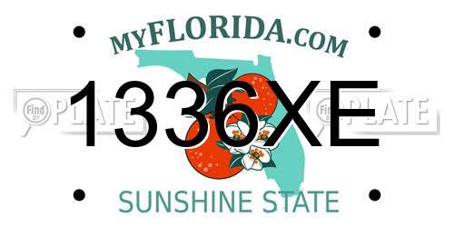 1336XE Florida License Plate
