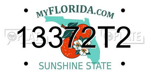 13372T2 Florida License Plate