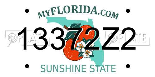 13372Z2 Florida License Plate
