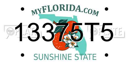 13375T5 Florida License Plate