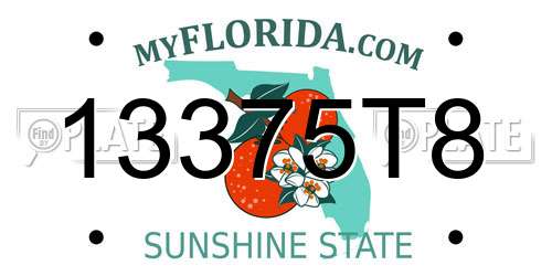 13375T8 Florida License Plate