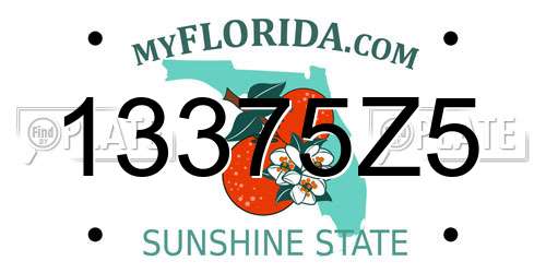 13375Z5 Florida License Plate