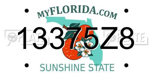 13375Z8 Florida License Plate