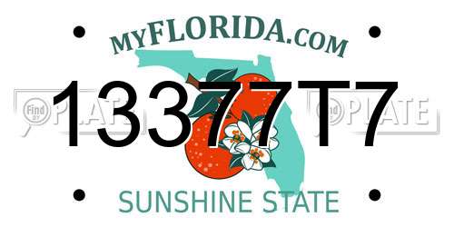 13377T7 Florida License Plate