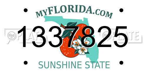 1337825 Florida License Plate
