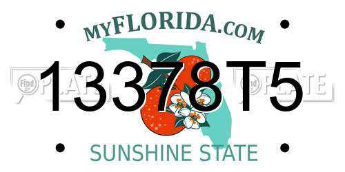 13378T5 Florida License Plate